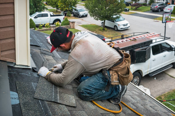 Professional Roofing technician working in Westville, IL